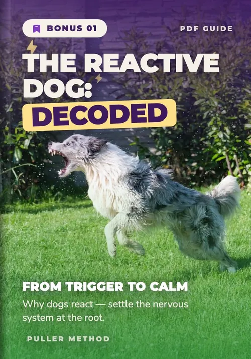 Bonus 01 — The Reactive Dog: Decoded · PDF guide