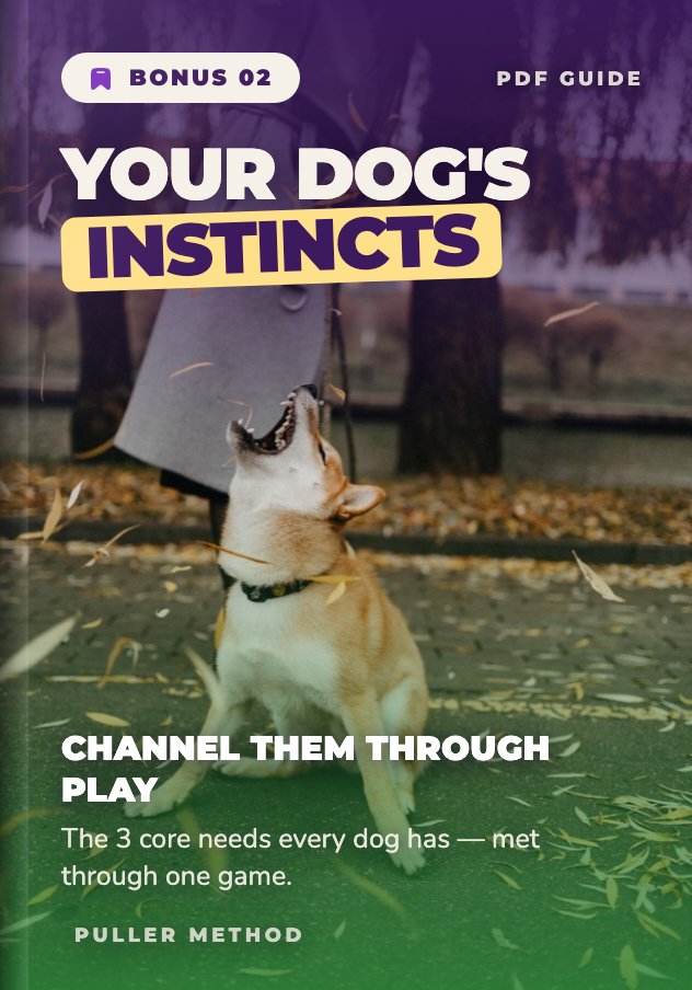 Bonus 02 — Your Dog's Instincts · PDF guide