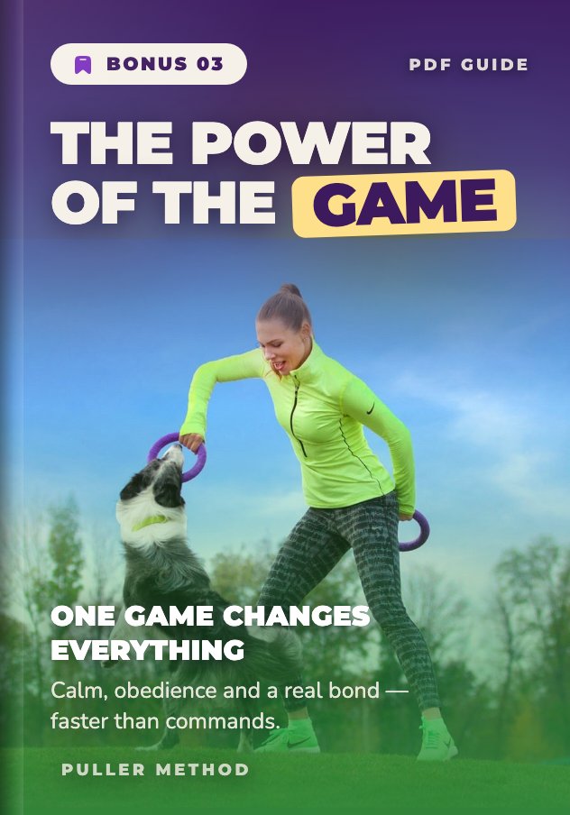Bonus 03 — The Power of the Game · PDF guide