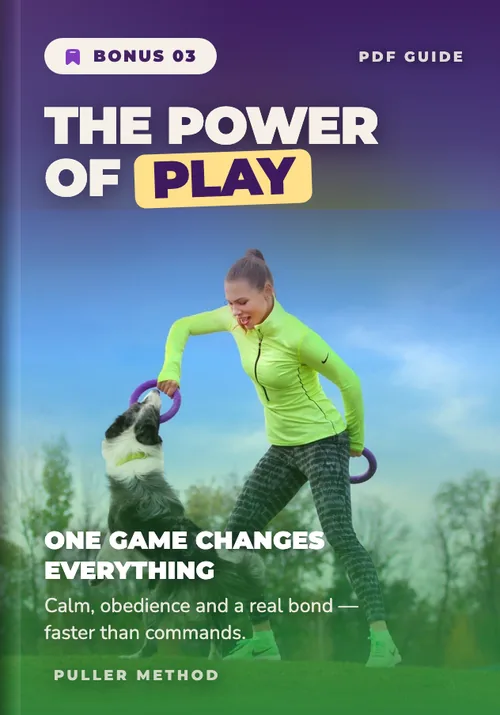 Bonus 03 — The Power of Play · PDF guide