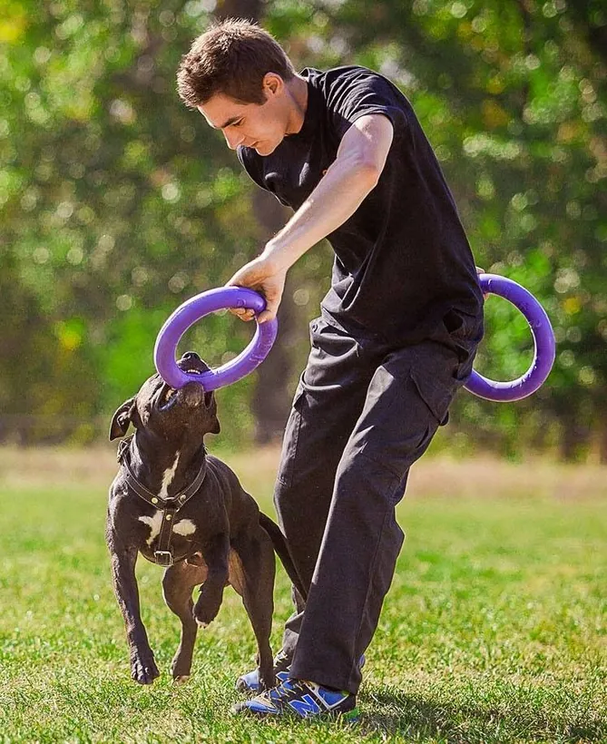 Dog and owner with PULLER